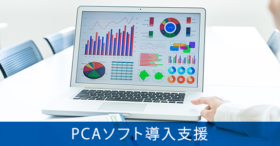 PCAソフト導入支援